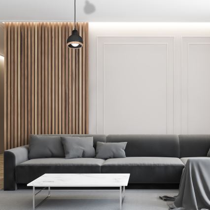 Hanglamp aan een koord OVAL 1xE27/60W/230V zwart