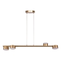 Hanglamp aan een koord PUNTO 4xGX53/12W/230V goud