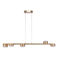 Hanglamp aan een koord PUNTO 5xGX53/12W/230V goud