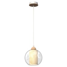 Hanglamp aan een koord TELA 1xE27/60W/230V d. 20 cm