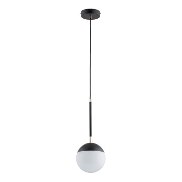 Hanglamp aan een koord VOLDA 1xE14/10W/230V zwart