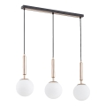 Hanglamp aan een koord VOLDA 3xE14/40W/230V messing