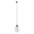 Hanglamp aan een koord voor 1-fase railsysteem ELIO 1xE27/15W/230V zwart/doorzichtig