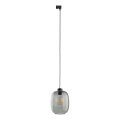 Hanglamp aan een koord voor 1-fase railsysteem ELIO 1xE27/15W/230V zwart/gerookt zwart