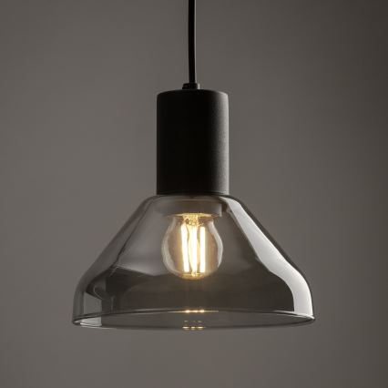 Hanglamp aan een koord voor een 3-fase rail systeem NEO 1xE27/15W/230V zwart/gerookt zwart