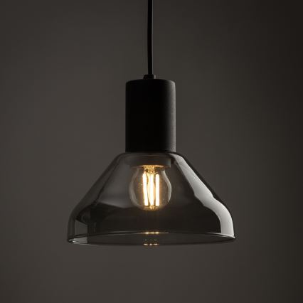 Hanglamp aan een koord voor een 3-fase rail systeem NEO 1xE27/15W/230V zwart/gerookt zwart