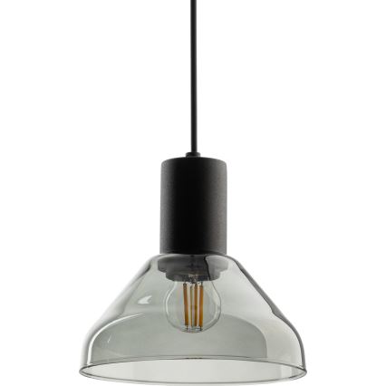 Hanglamp aan een koord voor 1-fase railsysteem NEO 1xE27/15W/230V zwart/gerookt zwart