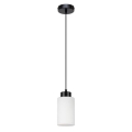 Hanglamp aan kabel BOSCO 1xE27/60W/230V