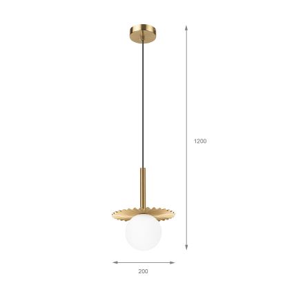 Hanglamp aan kabel CHITA 1xG9/5W/230V goudkleurig