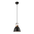 Hanglamp aan kabel DANIELLE 1xE27/60W/230V beuken