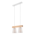 Hanglamp aan kabel ENRICO 2xE27/60W/230V