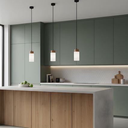 Hanglamp aan kabel MARKUS 1xE27/15W/230V zwart/eiken