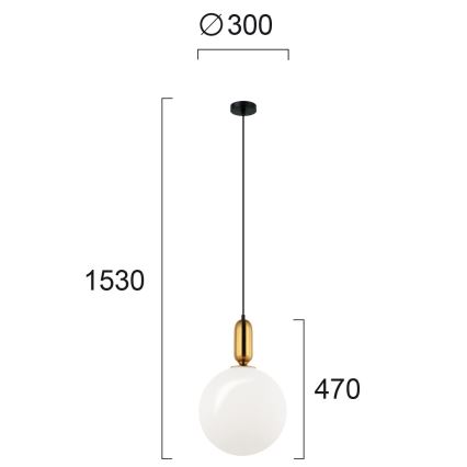 Hanglamp aan kabel NEPTUNE 1xE27/40W/230V goud