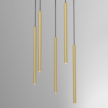 Hanglamp aan kabel YORU 8xG9/8W/230V messing