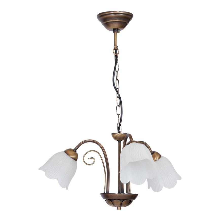 Hanglamp aan ketting ERIN 3xE14/60W/230V