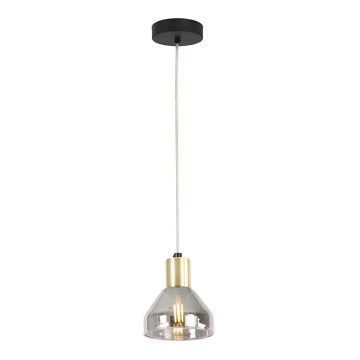 Hanglamp aan koord GREGORY 1xE14/40W/230V