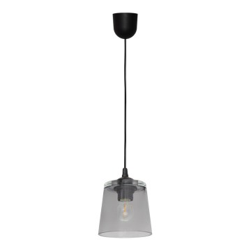Hanglamp aan koord LUCEA 1x E27 / 15W / 230V