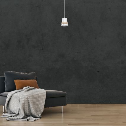 Hanglamp aan koord VENEZIA 1x E27 / 60W / 230V