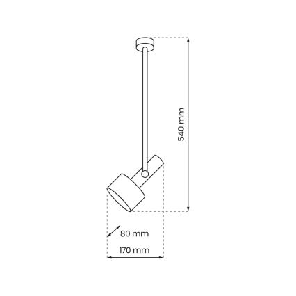 Hanglamp  LINTERNA 1xGX53/12W/230V zwart