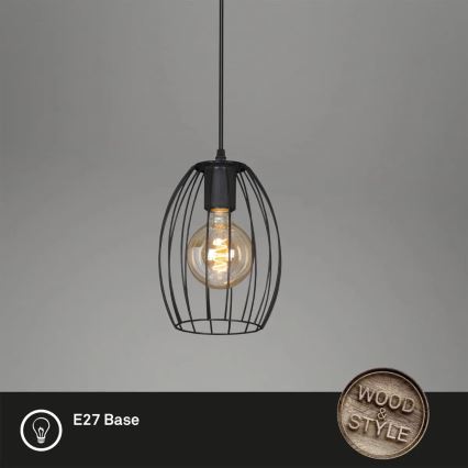 Hanglamp met staaf 1xE27/60W/230V zwart