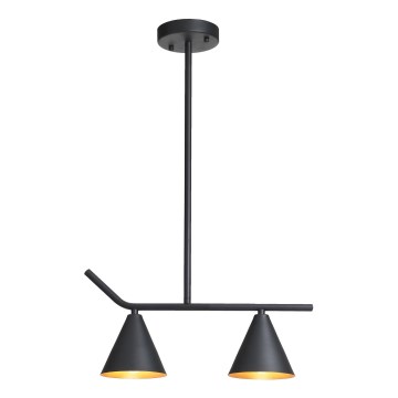 Hanglamp met vaste pendel 2xE27/40W/230V zwart