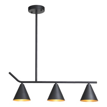 Hanglamp met vaste pendel 3xE27/40W/230V zwart