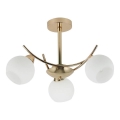 Hanglamp met vaste pendel AMOS 3xE27/40W/230V goud