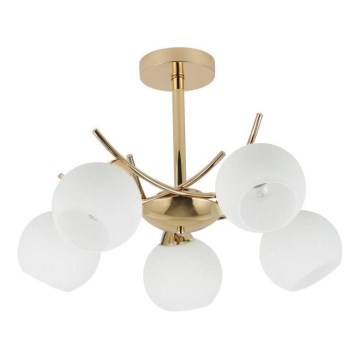 Hanglamp met vaste pendel AMOS 5xE27/40W/230V goud