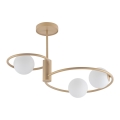 Hanglamp met vaste pendel AQUA 3xG9/12W/230V goud