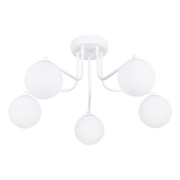 Hanglamp met vaste pendel ASTRAL 5xG9/8W/230V wit