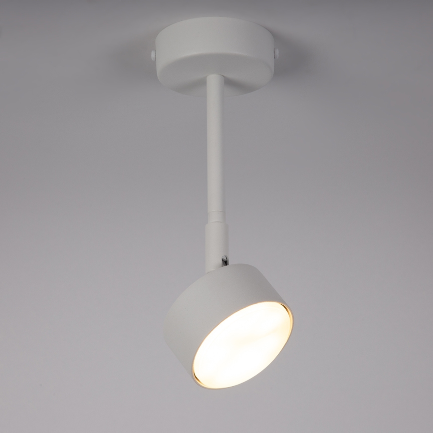 Hanglamp met vaste pendel NEMO 1xGX53/12W/230V 24 cm wit