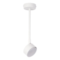 Hanglamp met vaste pendel NEMO 1xGX53/12W/230V 35 cm wit