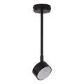 Hanglamp met vaste pendel NEMO 1xGX53/12W/230V 35 cm zwart