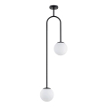 Hanglamp met vaste pendel VECTOR 2xE14/10W/230V zwart