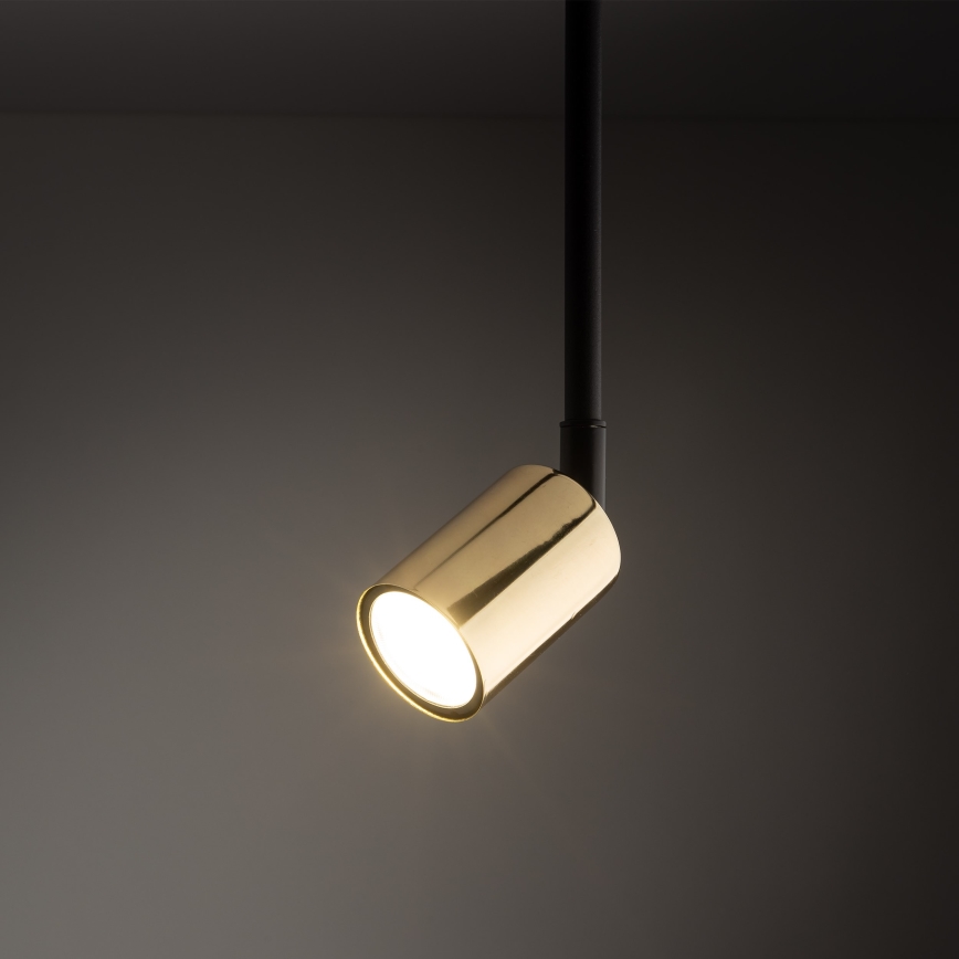 Hanglamp met vaste pendel voor 1-fase railsysteem TOP 1xGU10/10W/230V goud/zwart