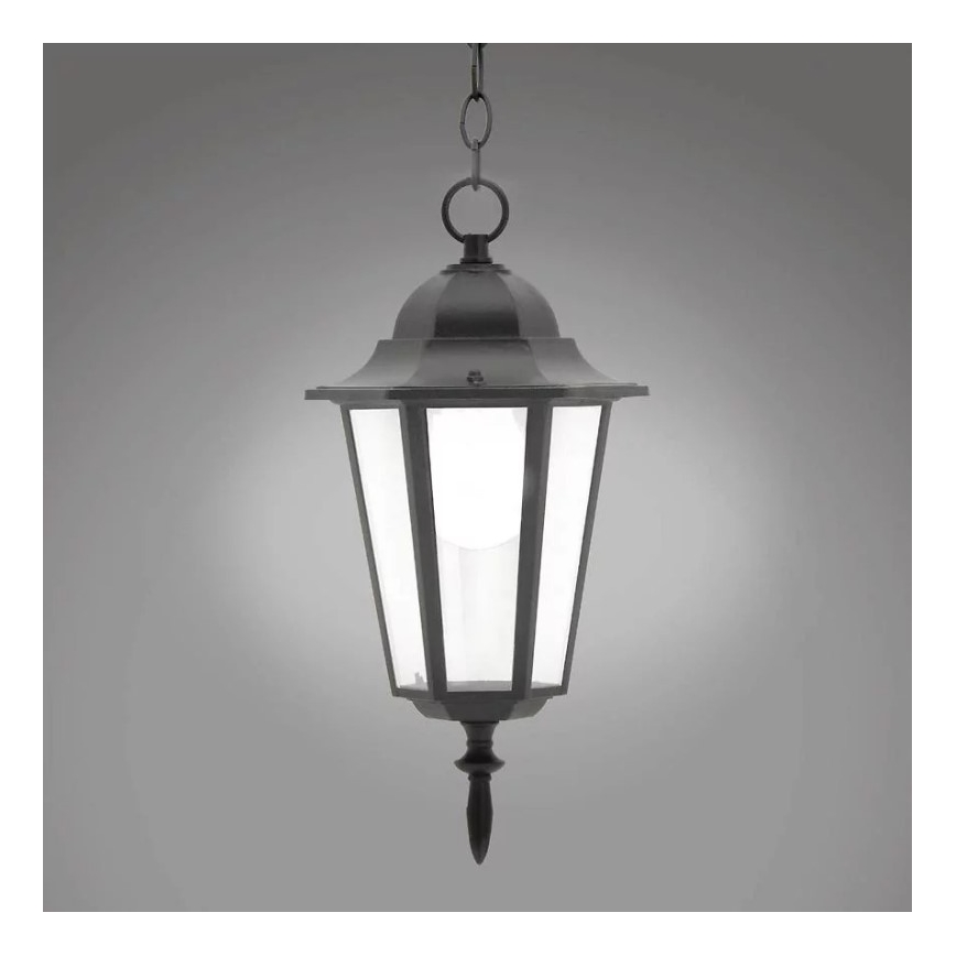 Hanglamp voor buiten 1xE27/20W/230V IP43 zwart