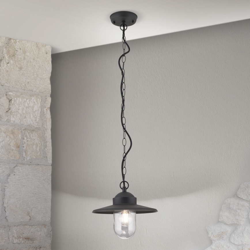 Hanglamp voor buiten EDWARD 1xE27/60W/230V IP44 zwart