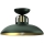 Hanglamp voor Oppervlak Montage FELIX 1xE27/60W/230V groen