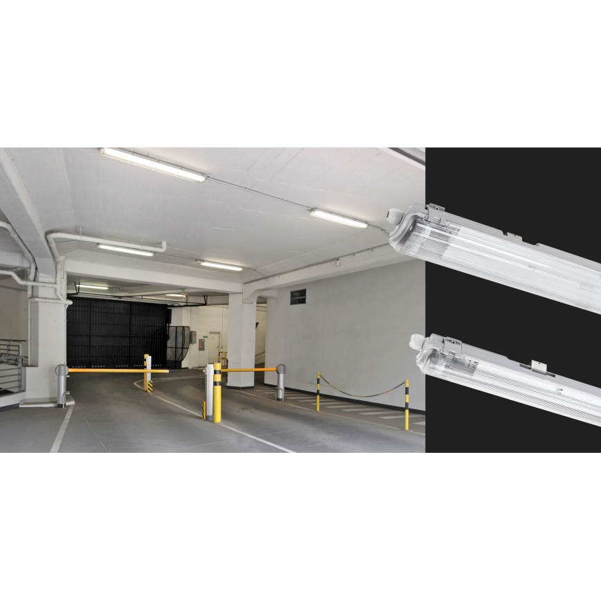 Heavy duty TL lamp LIMEA T8 1xG13/10W/230V IP65 60cm