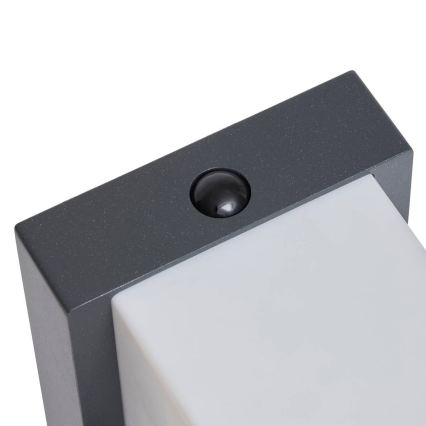 Hesperide - LED-wandlamp op zonne-energie met bewegingssensor MULTY LED/3,7V 2600 mAh IP65 antraciet
