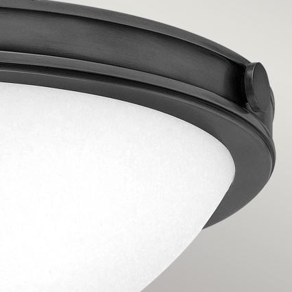Hinkley - Plafondlamp COLLIER 2xE27/40W/230V Ø 34,6 cm zwart
