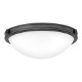 Hinkley - Plafondlamp COLLIER 2xE27/40W/230V Ø 34,6 cm zwart