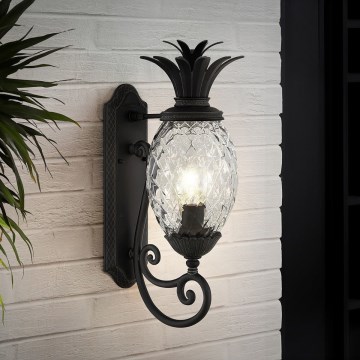 Hinkley - Wandlamp PLANTATION 1xE27/40W/230V zwart