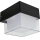 HÖFFTECH - Applique murale d'extérieur LED/4W/230V IP65