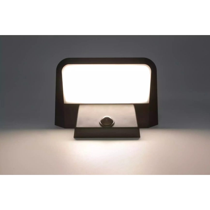HÖFFTECH - Zonne-LED-wandlamp met bewegings- en schemersensor LED/5,5V 200 mAh IP44