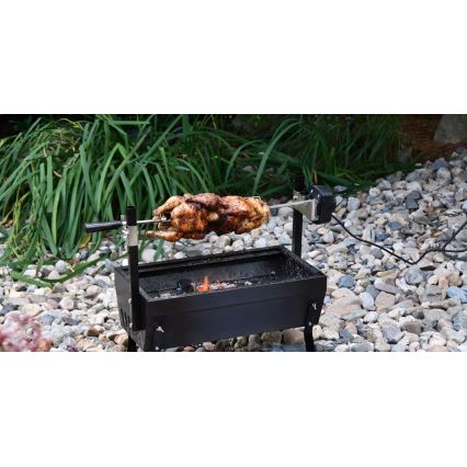 Houtskoolgrill met motor 4W/230V zwart