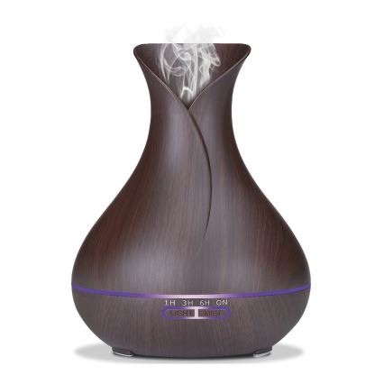 Humidificateur et ioniseur d