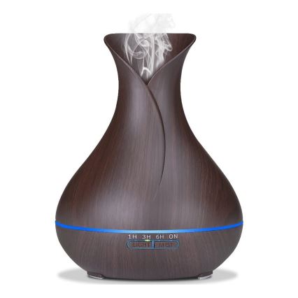 Humidificateur et ioniseur d