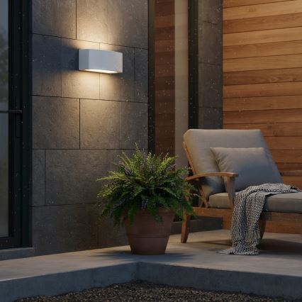 Ideal Lux - Applique murale extérieure ANDROMEDA 1xE27/60W/230V IP55 gris