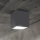 Ideal Lux - Buiten spot TECHO 1xGU10/20W/230V 9x9 cm IP54 antraciet